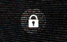 Why Your Business Data Is at Risk and How To Protect It From Hackers