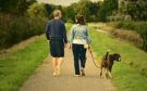 Dog Walking Quotes You Can Use Quickly