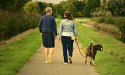 Dog Walking Quotes You Can Use Quickly